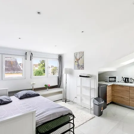 Daire Tres Chic & Frais Avec Ventilateur, Parking Prive Gratuit, Centre Mulhouse
