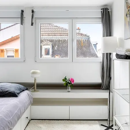 Daire Tres Chic & Frais Avec Ventilateur, Parking Prive Gratuit, Centre Mulhouse